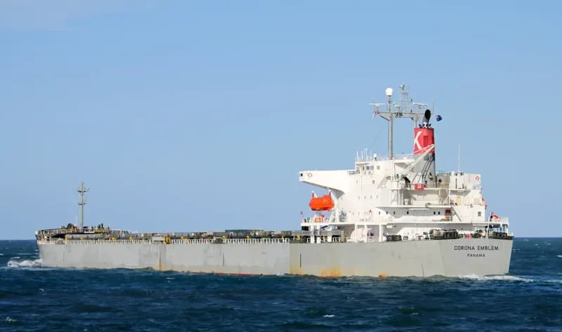 CORONA EMBLEM Bulk Carrier IMO 9152167 photo 3
