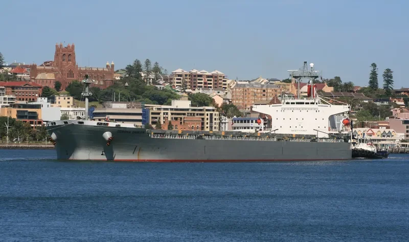 CORONA EMBLEM Bulk Carrier IMO 9152167 photo 4