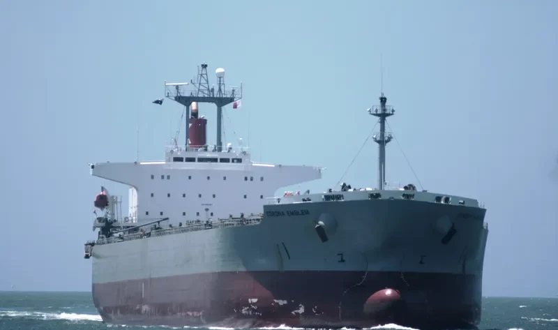 CORONA EMBLEM Bulk Carrier IMO 9152167 photo 5