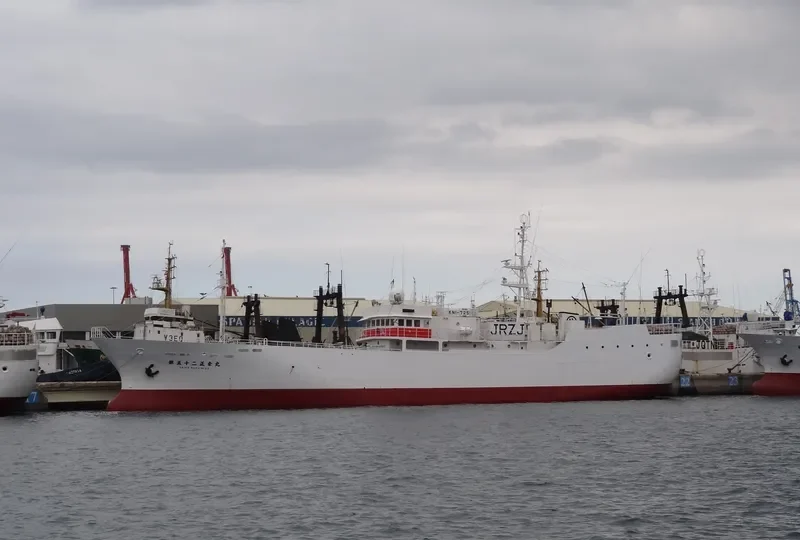 SEIKO MARU NO.52 General Cargo IMO 9152210 photo 2