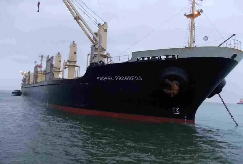 PROPEL PROGRESS Bulk Carrier IMO 9152234 photo 2
