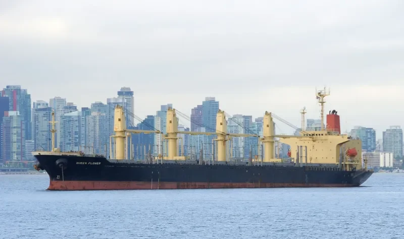 PROPEL PROGRESS Bulk Carrier IMO 9152234 photo 4