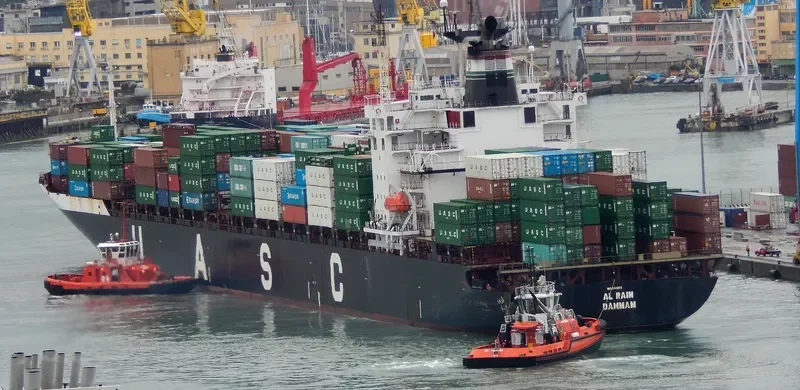 AL RAIN Container Ship IMO 9152272 photo 2
