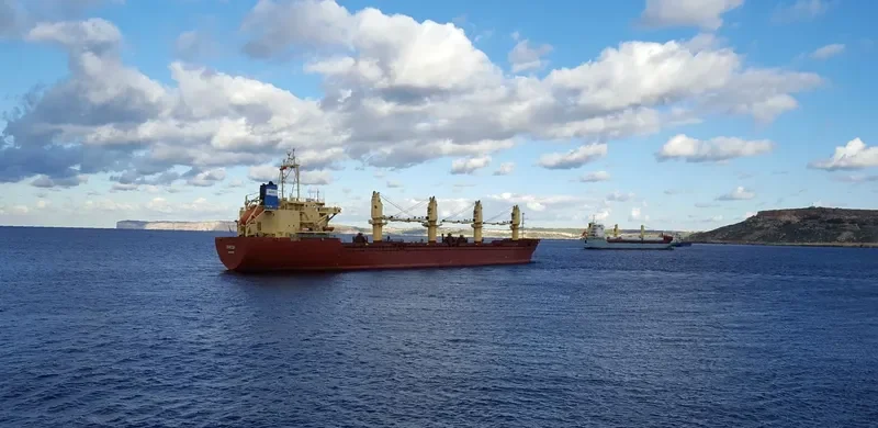 RAEDA Bulk Carrier IMO 9152478