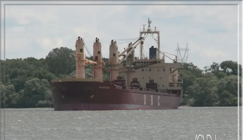 RAEDA Bulk Carrier IMO 9152478 photo 2