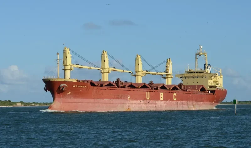 RAEDA Bulk Carrier IMO 9152478 photo 3
