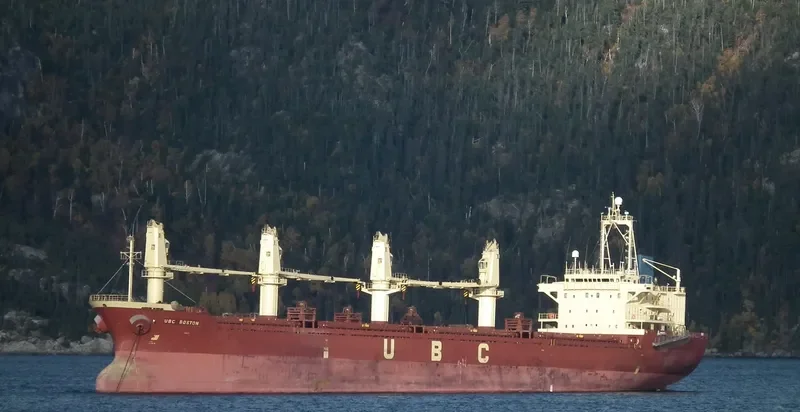 RAEDA Bulk Carrier IMO 9152478 photo 5