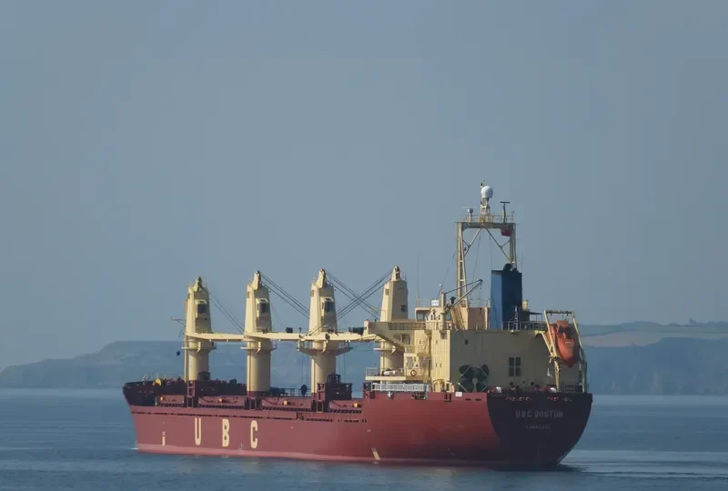 RAEDA Bulk Carrier IMO 9152478 photo 6