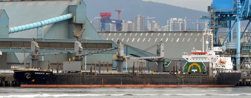 SHIMEI FORTUNE Bulk Carrier IMO 9152480