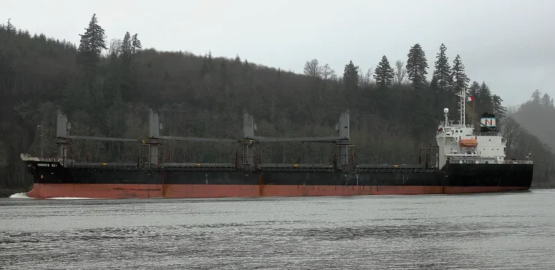 SHIMEI FORTUNE Bulk Carrier IMO 9152480 photo 5