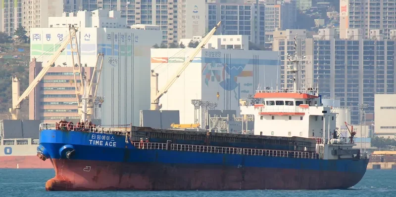 TEAM ACE General Cargo IMO 9152571 photo 2