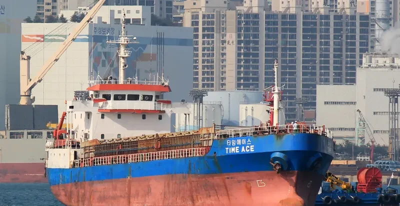 TEAM ACE General Cargo IMO 9152571 photo 3