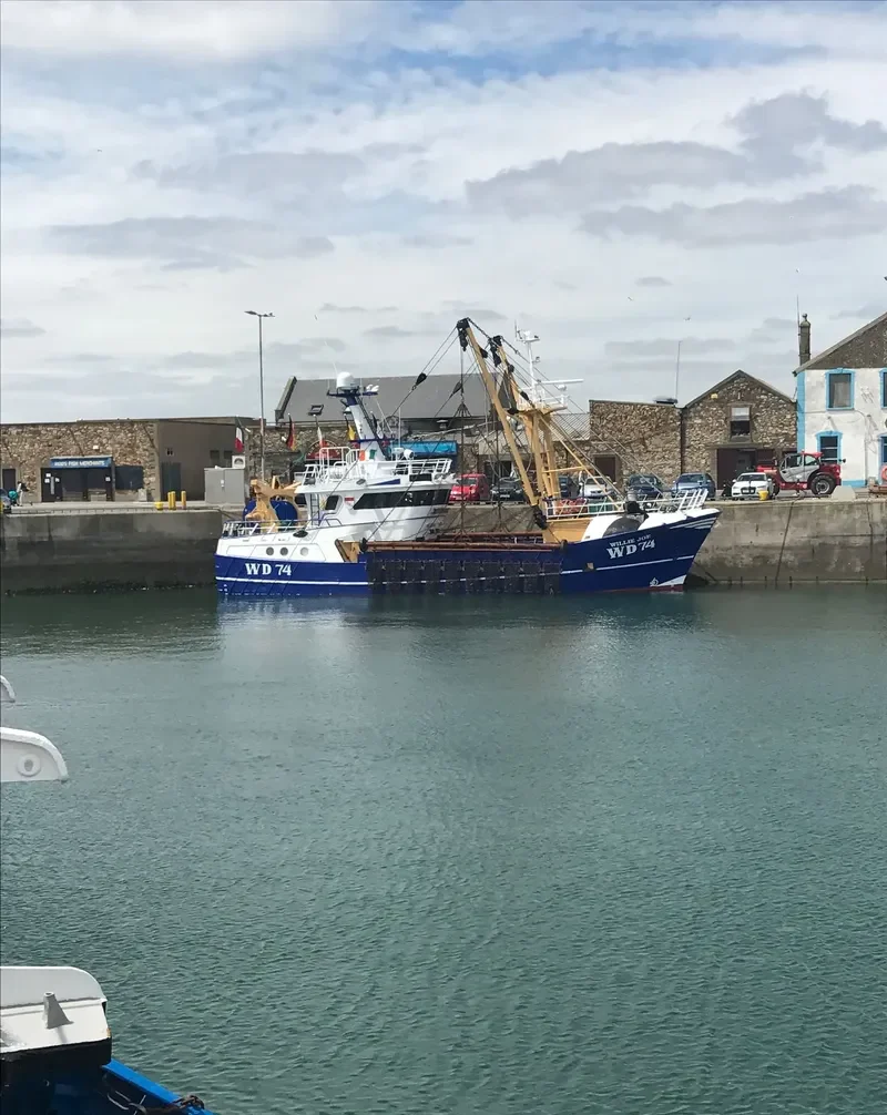 WILLIE JOE General Cargo IMO 9152686