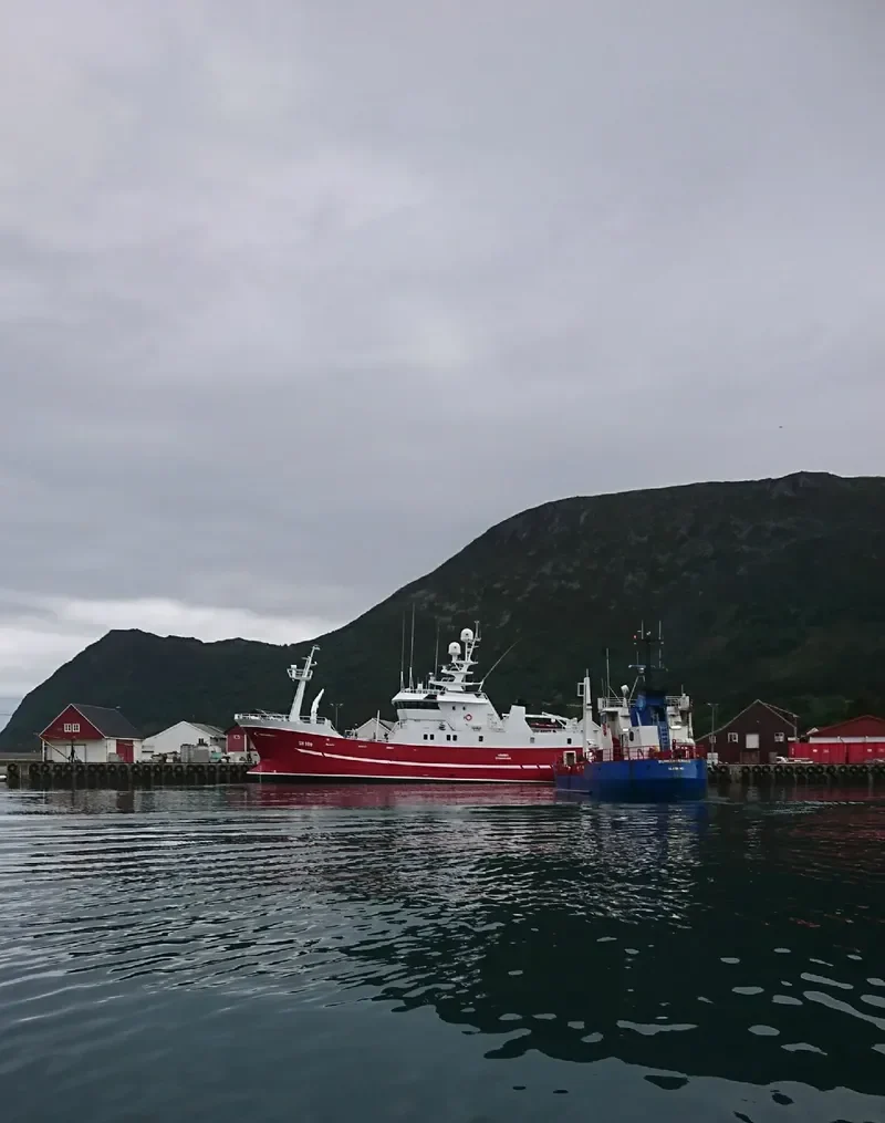 THORSNES General Cargo IMO 9152894 photo 2