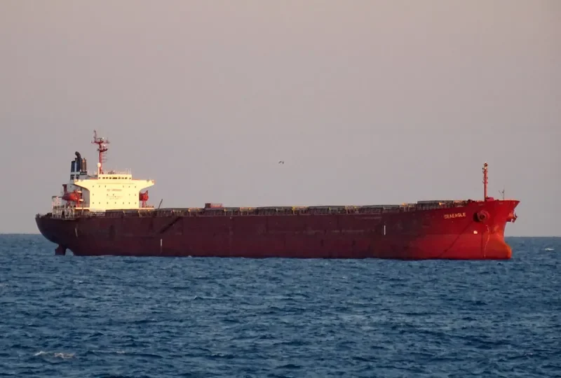 SEAEAGLE Bulk Carrier IMO 9153056 photo 2