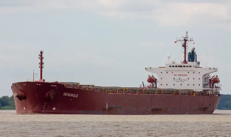 SEAEAGLE Bulk Carrier IMO 9153056 photo 3
