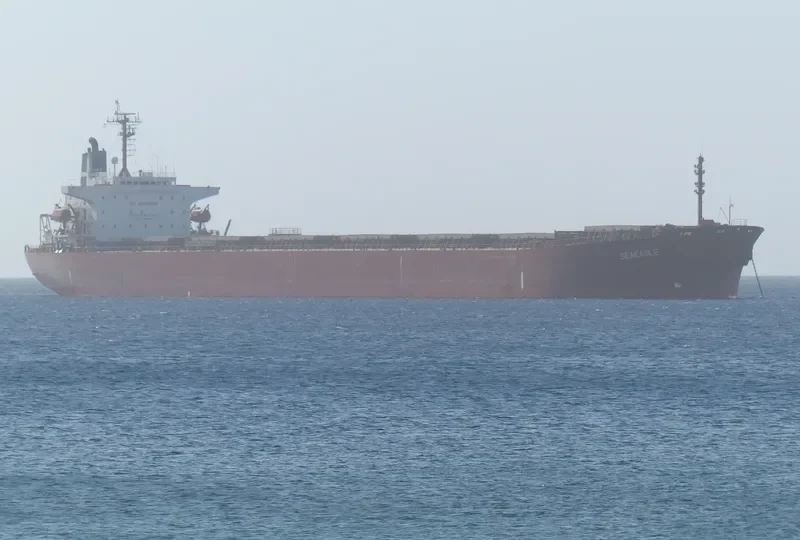 SEAEAGLE Bulk Carrier IMO 9153056 photo 7
