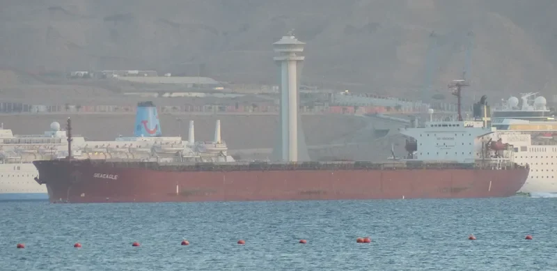 SEAEAGLE Bulk Carrier IMO 9153056 photo 8