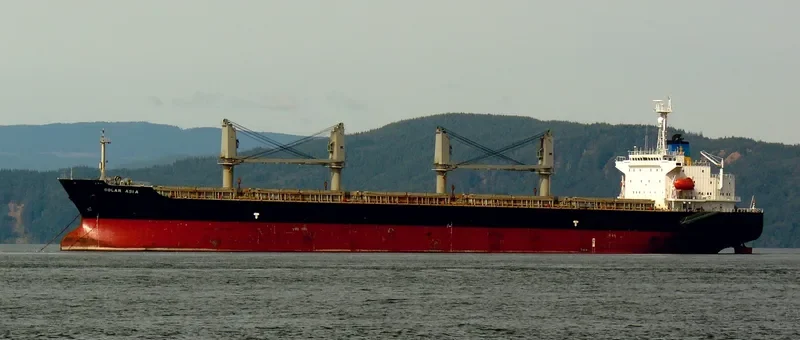 BLUEWAYS Bulk Carrier IMO 9153111 photo 4