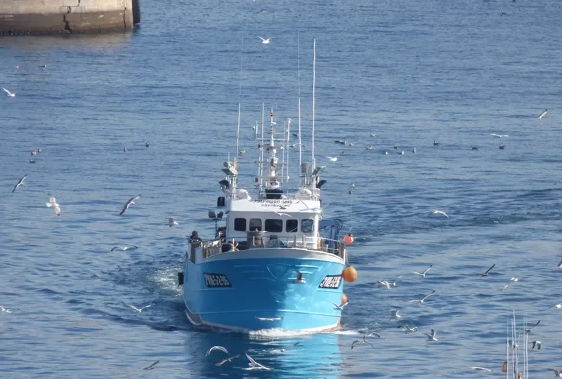 MAYADOR UNO General Cargo IMO 9153276 photo 4