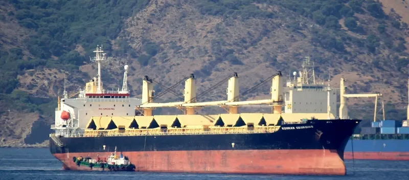 CHARIANA L Bulk Carrier IMO 9154012