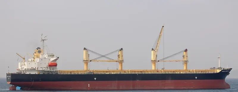 CHARIANA L Bulk Carrier IMO 9154012 photo 9