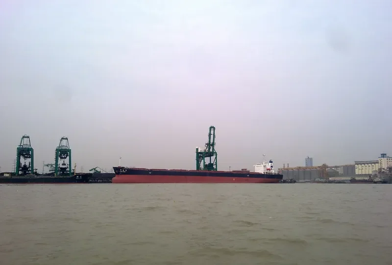 YUE DIAN 8 Bulk Carrier IMO 9154098