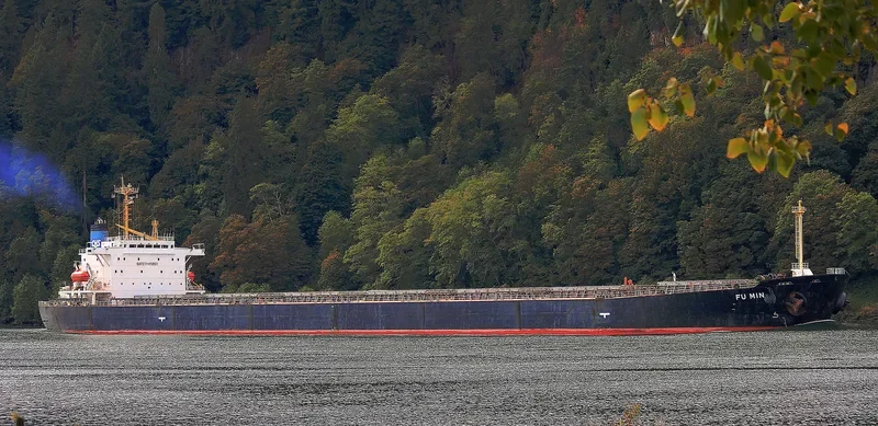 FU MIN Bulk Carrier IMO 9154115