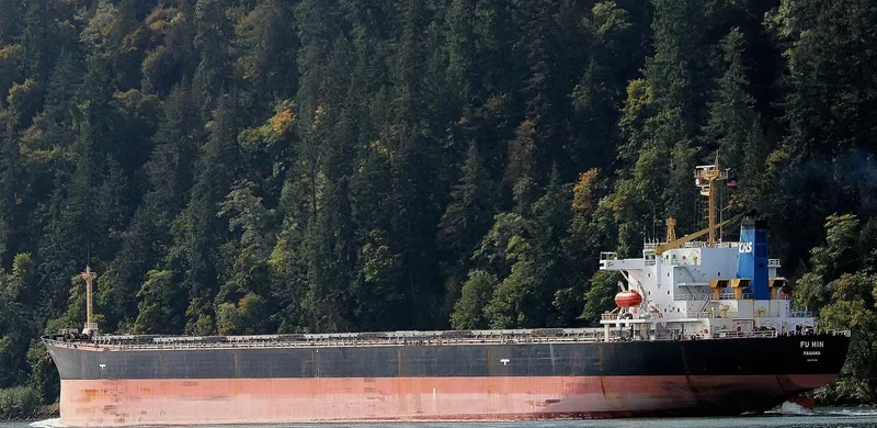 FU MIN Bulk Carrier IMO 9154115 photo 2