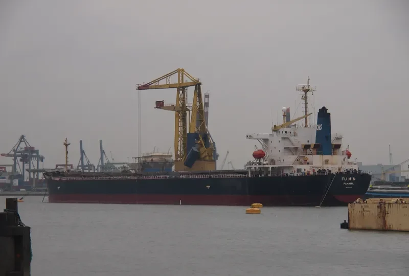 FU MIN Bulk Carrier IMO 9154115 photo 6