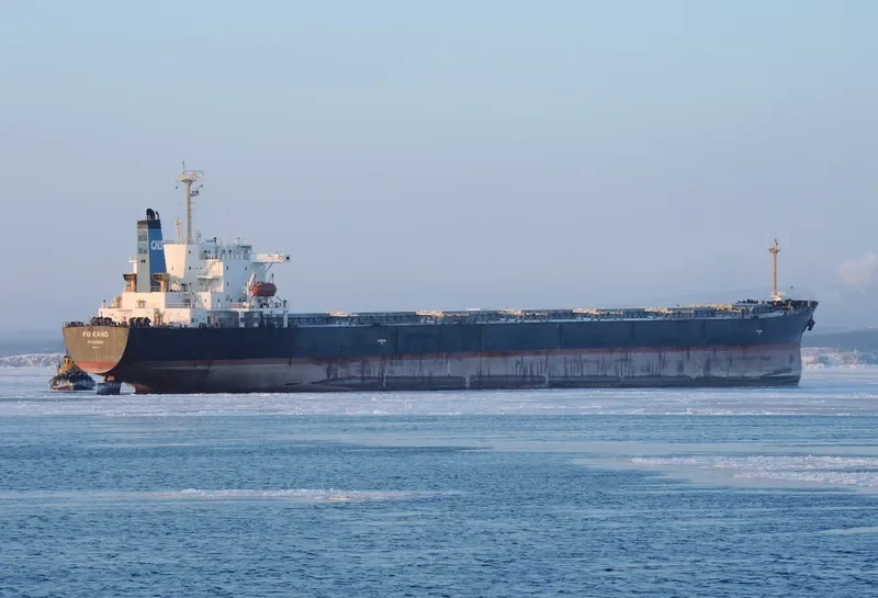FU KANG Bulk Carrier IMO 9154127