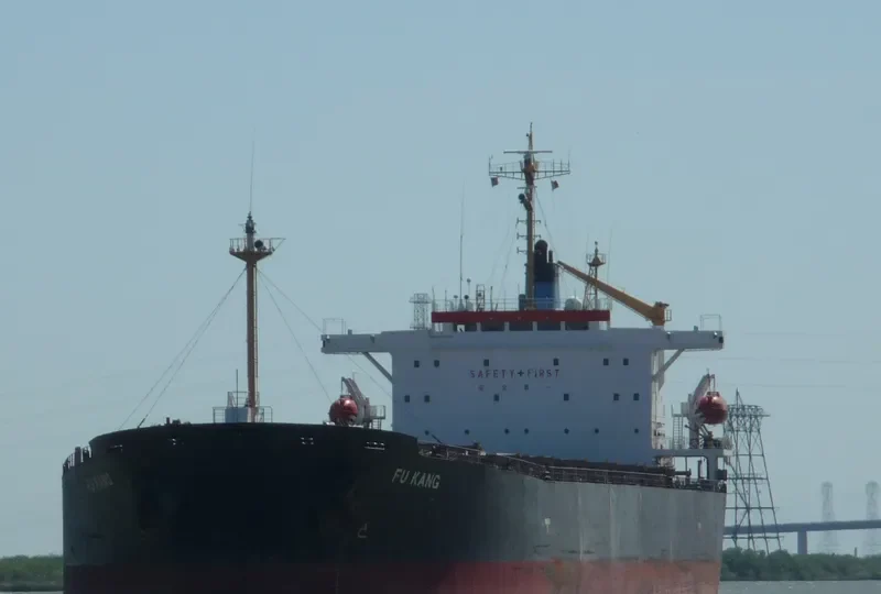 FU KANG Bulk Carrier IMO 9154127 photo 5