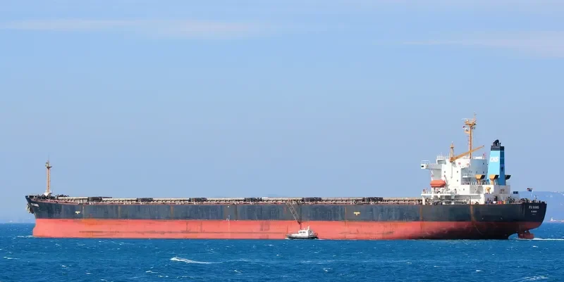 FU KANG Bulk Carrier IMO 9154127 photo 7