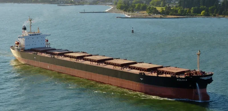 FELICIA Bulk Carrier IMO 9154139