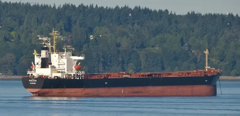 FELICIA Bulk Carrier IMO 9154139 photo 2