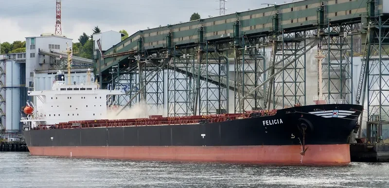 FELICIA Bulk Carrier IMO 9154139 photo 3