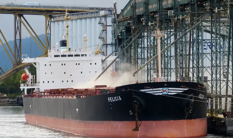 FELICIA Bulk Carrier IMO 9154139 photo 4