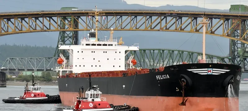 FELICIA Bulk Carrier IMO 9154139 photo 6