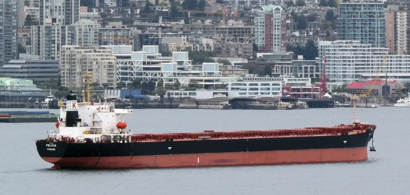 FELICIA Bulk Carrier IMO 9154139 photo 7