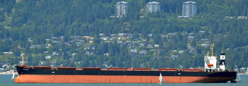 FELICIA Bulk Carrier IMO 9154139 photo 9