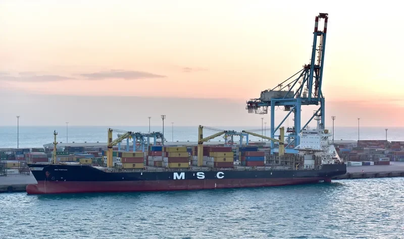 MSC POSITANO Container Ship IMO 9154191 photo 3