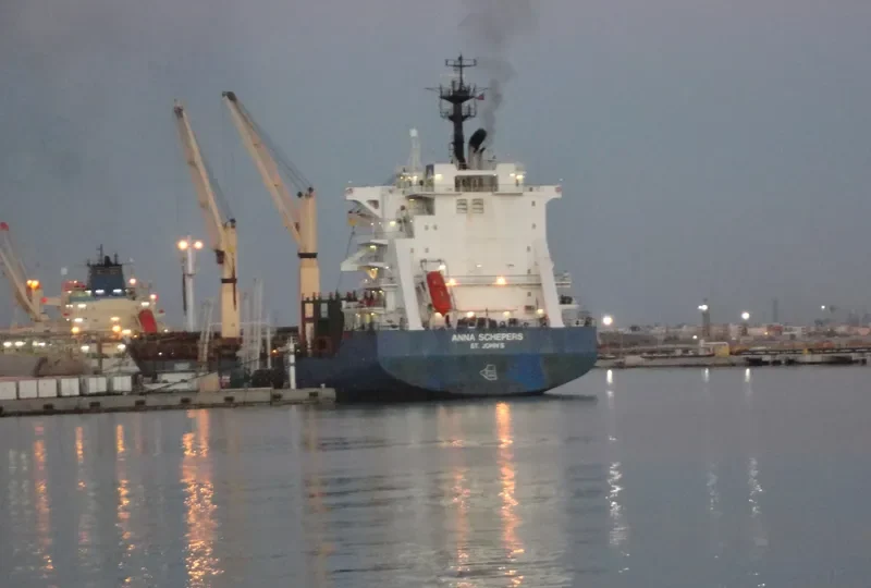 ANNA SCHEPERS Container Ship IMO 9154218