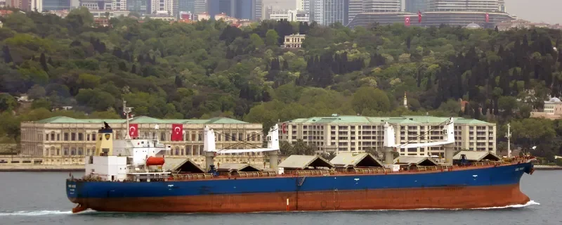 BEST HONOR Bulk Carrier IMO 9154567 photo 9