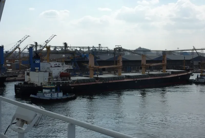 JIN QIANG Bulk Carrier IMO 9154579 photo 6