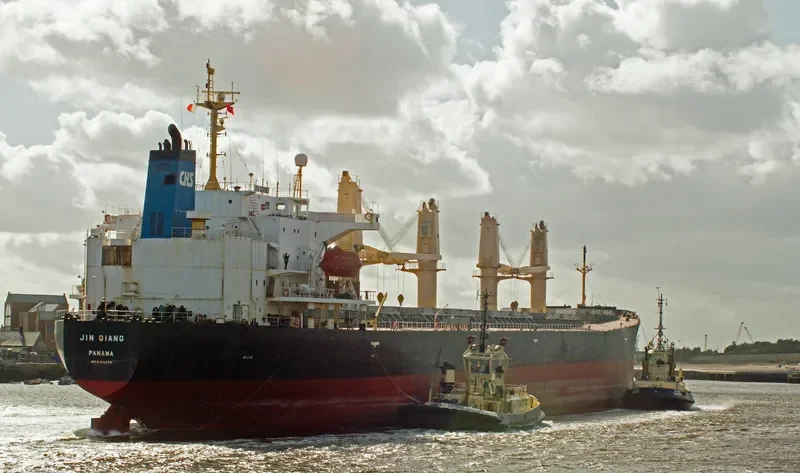 JIN QIANG Bulk Carrier IMO 9154579 photo 8