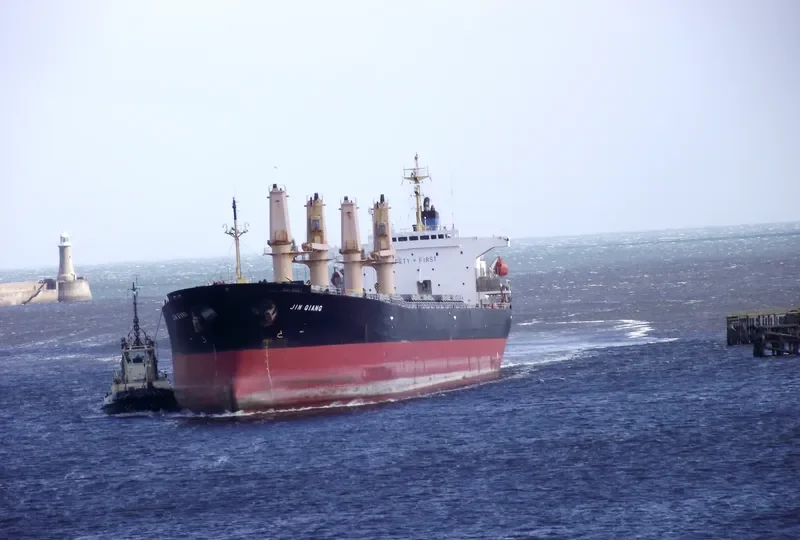 JIN QIANG Bulk Carrier IMO 9154579 photo 9