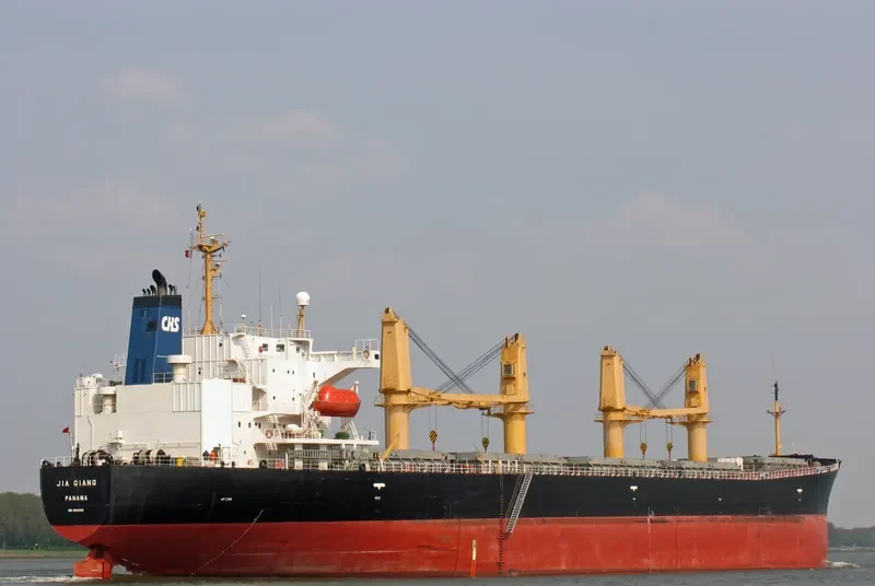 JIA QIANG Bulk Carrier IMO 9154593 photo 3