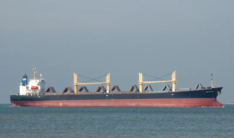 JIA QIANG Bulk Carrier IMO 9154593 photo 5