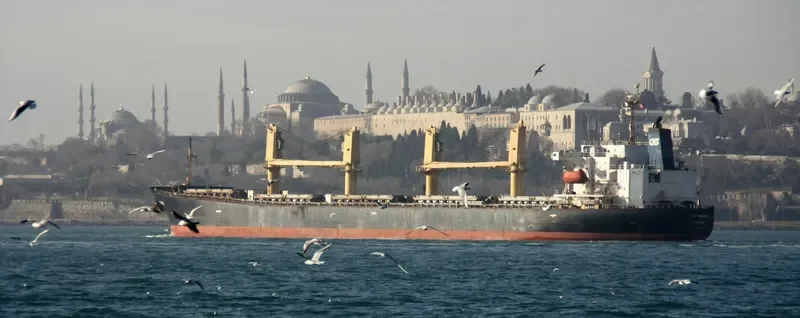 JIA QIANG Bulk Carrier IMO 9154593 photo 8