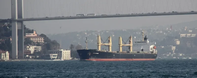 JIA QIANG Bulk Carrier IMO 9154593 photo 10